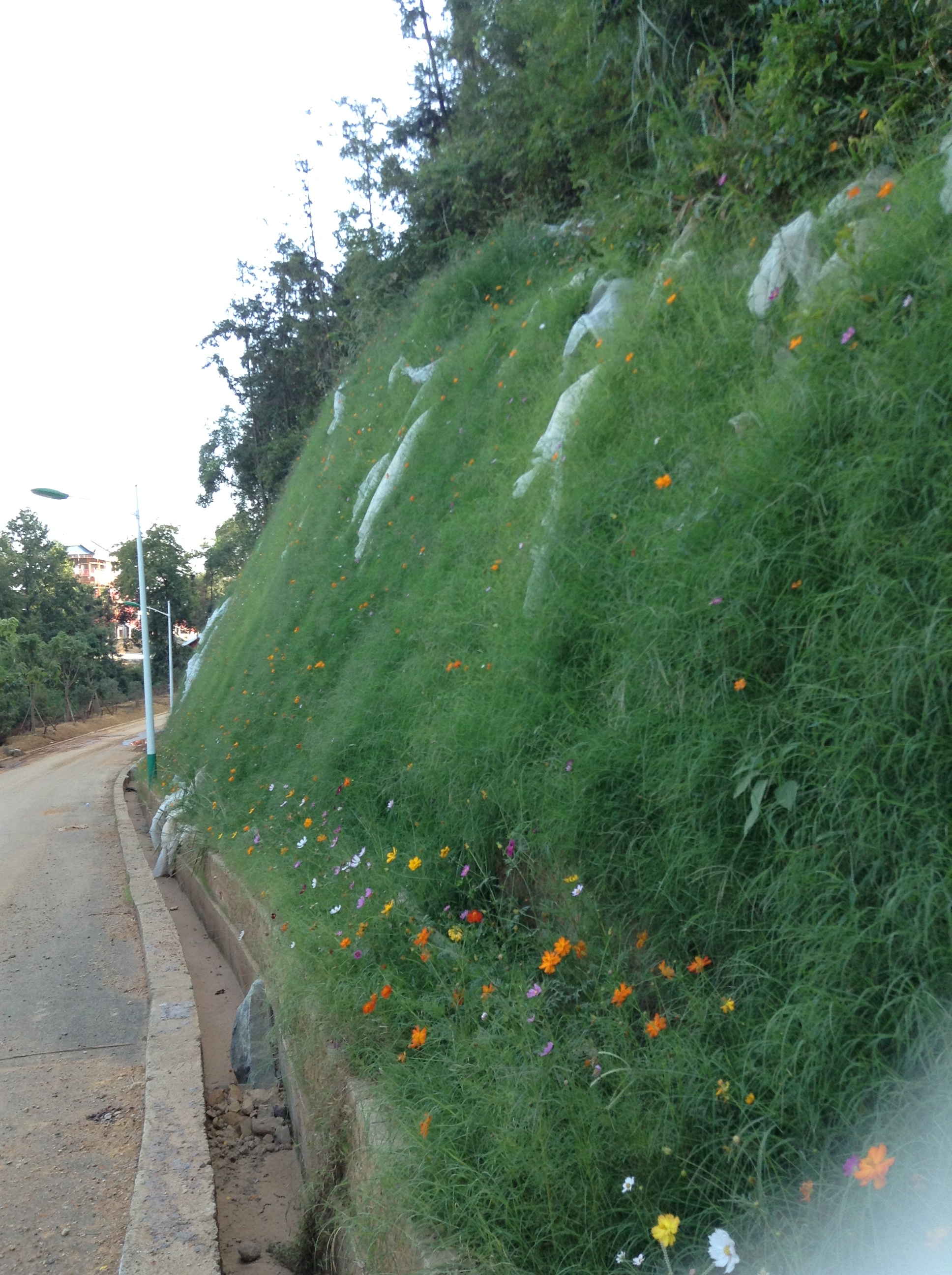 2012年龙岩大锦山高次团粒喷播